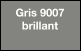 Couleur gris-9007-brillant